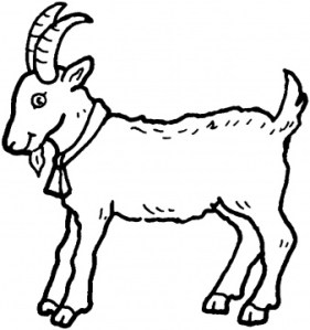 goat-16-coloring-page.gif