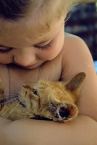 20125529555246252_dgBAbm6m_c